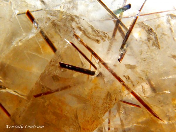 Astrophyllite crystals in quartz - Kola Peninsula, Russia